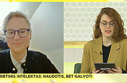 KTU EEF tyrėja: svarbu suprasti, kad dirbtinis intelektas daro klaidų